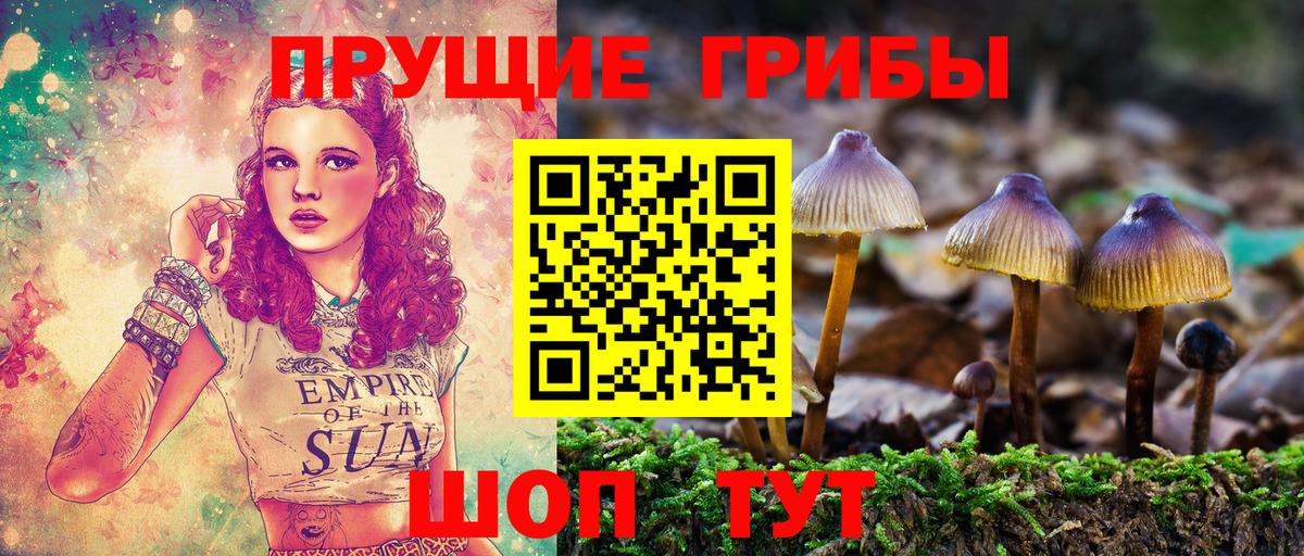 Галлюциногенные грибы прущие грибы Борзя