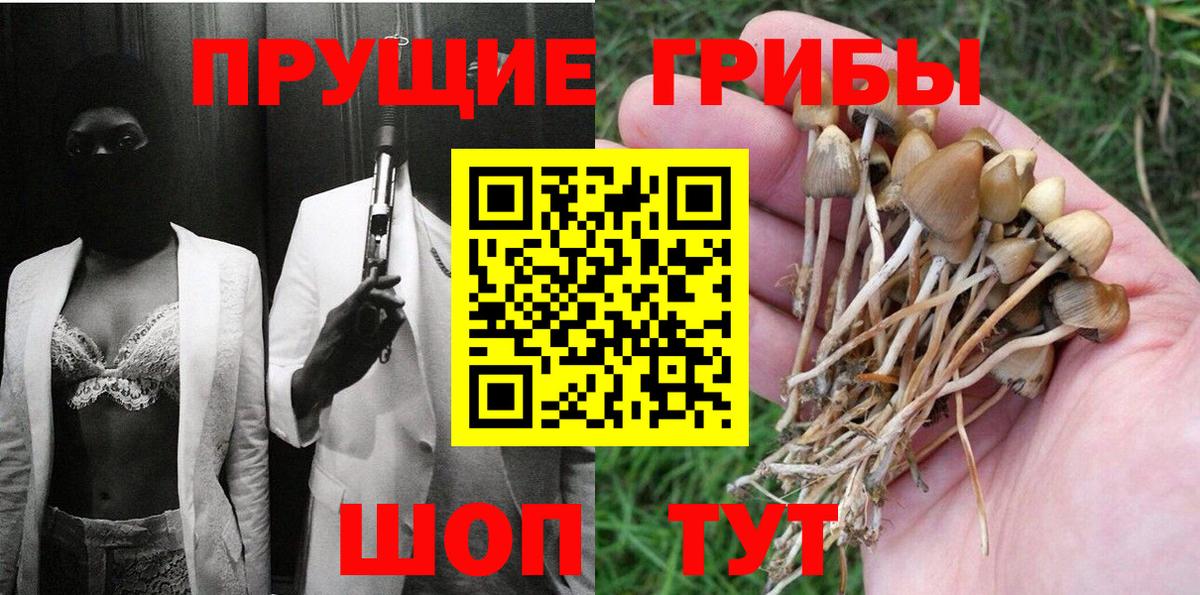 Борзя  Псилоцибиновые грибы Magic Shrooms  Вход с VPN  Галлюциногенные грибы Cubensis 